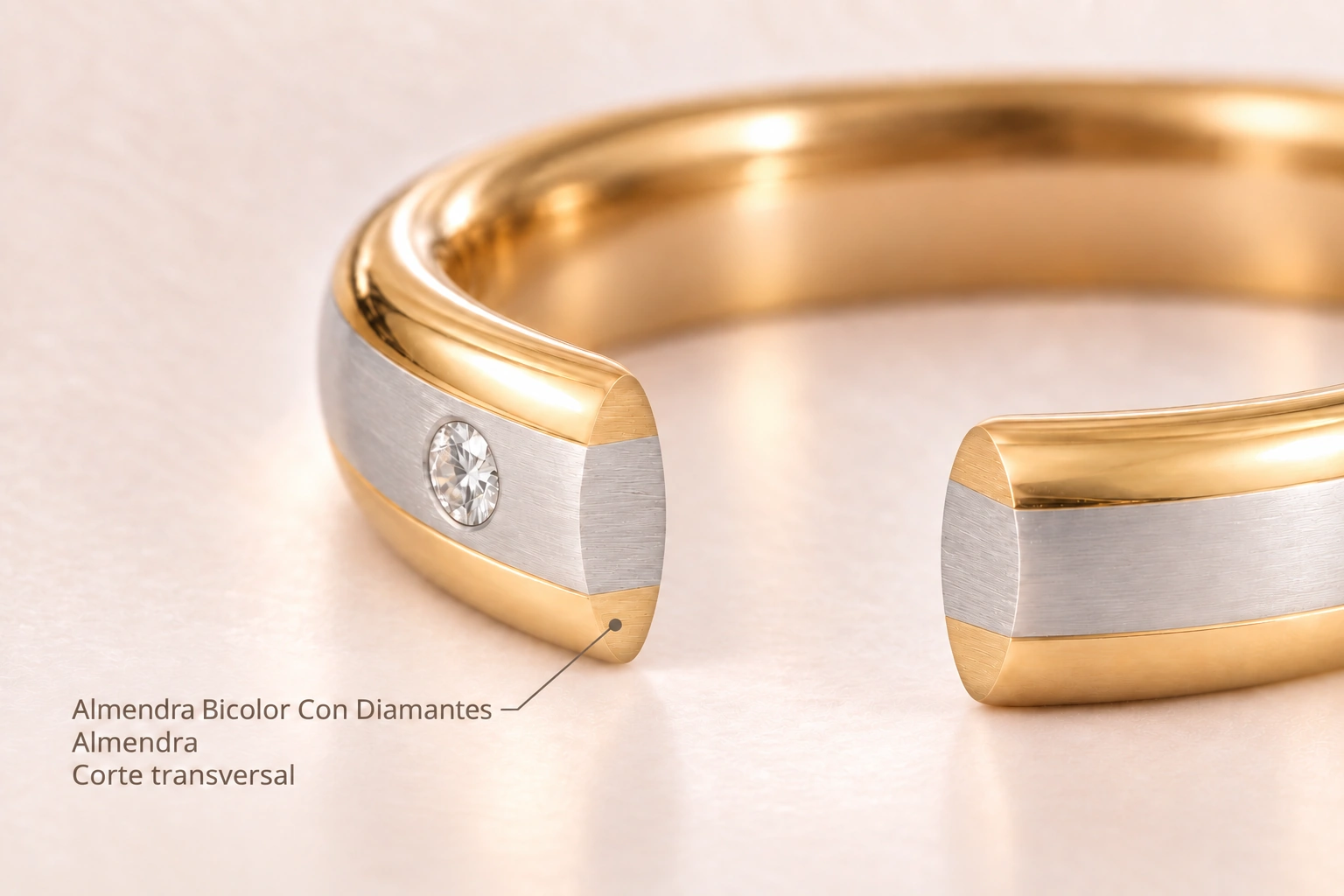Almendra Bicolor Con Diamantes — Almendra. Corte transversal del modelo.