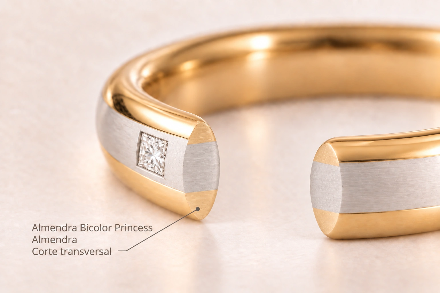 Almendra Bicolor Princess — Almendra. Corte transversal del modelo.