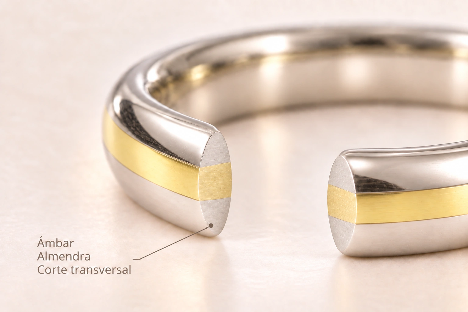 Ámbar — Almendra. Corte transversal del modelo.