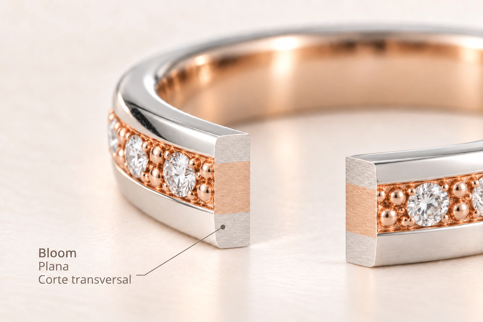 Bloom — Plana. Corte transversal del modelo.