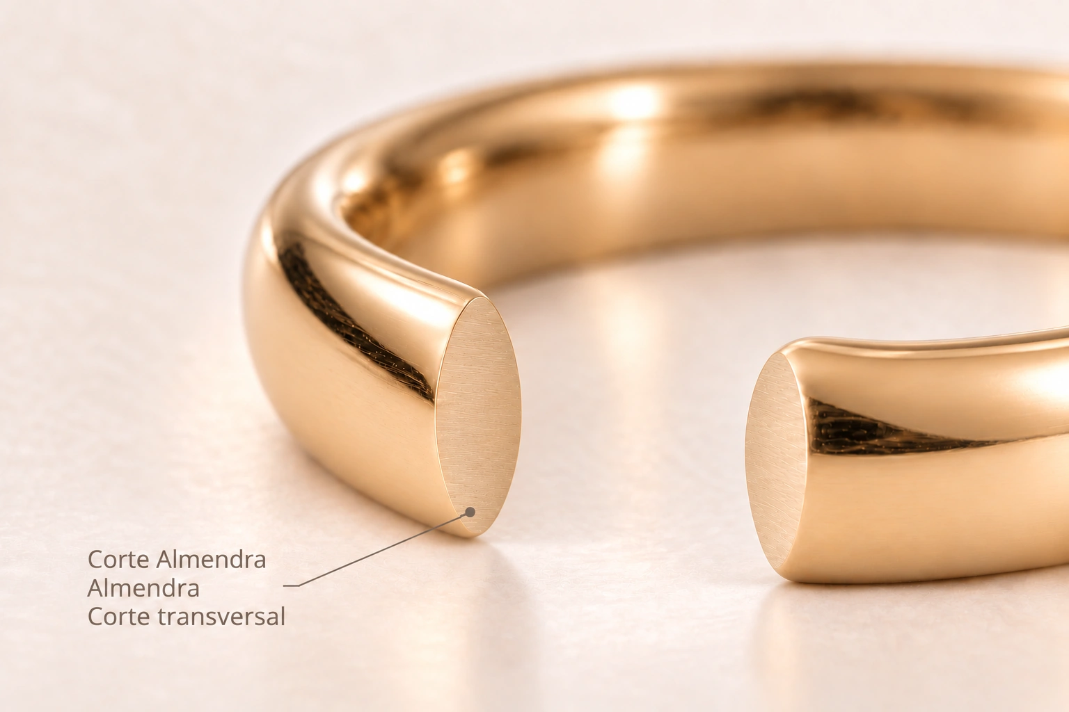 Corte Almendra — Almendra. Corte transversal del modelo.