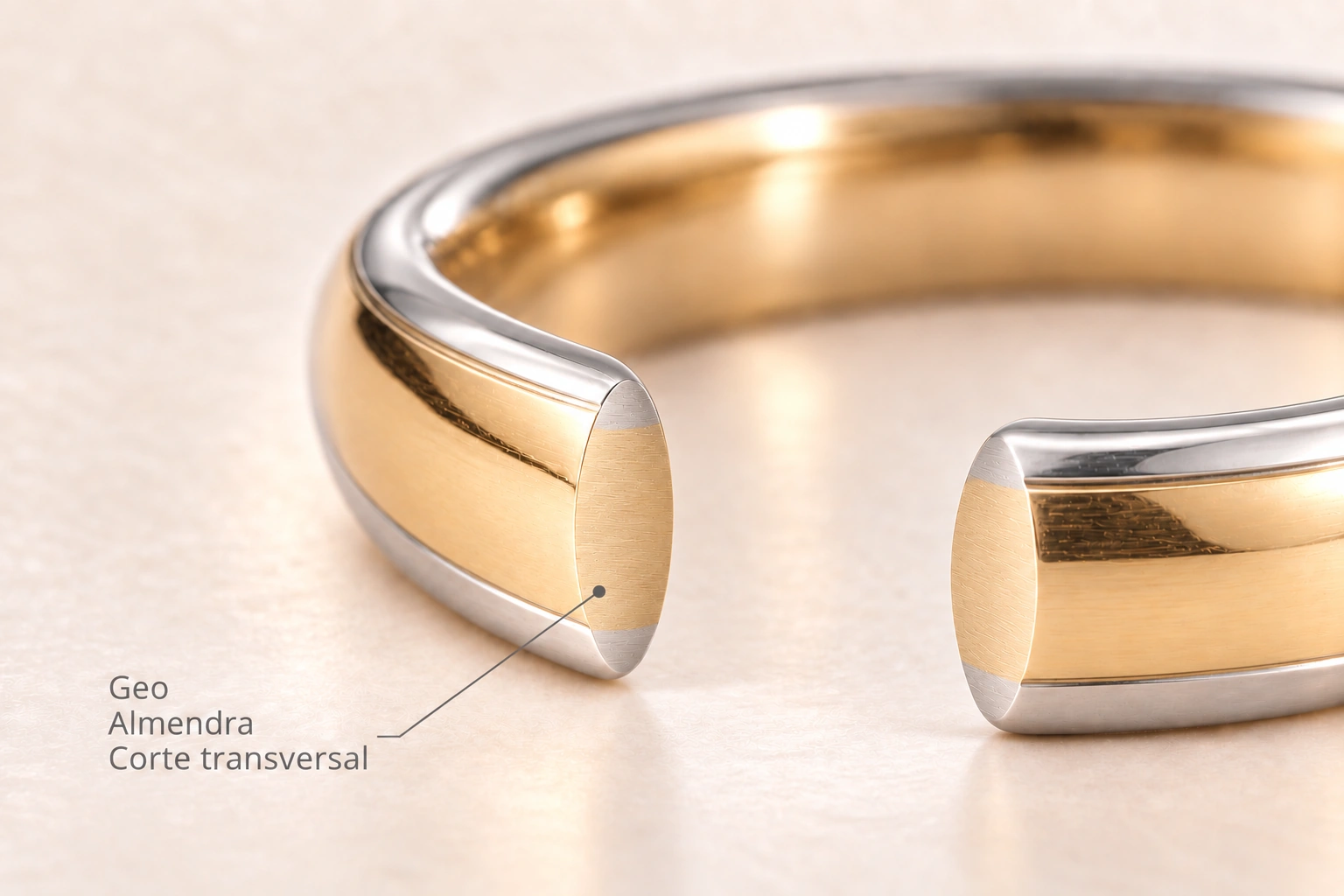 Geo — Almendra. Corte transversal del modelo.