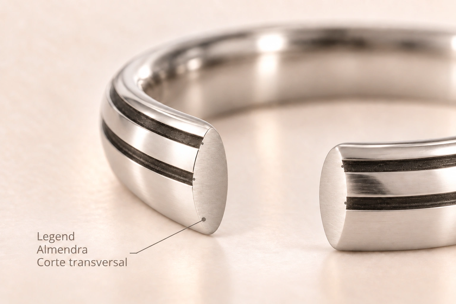 Legend — Almendra. Corte transversal del modelo.