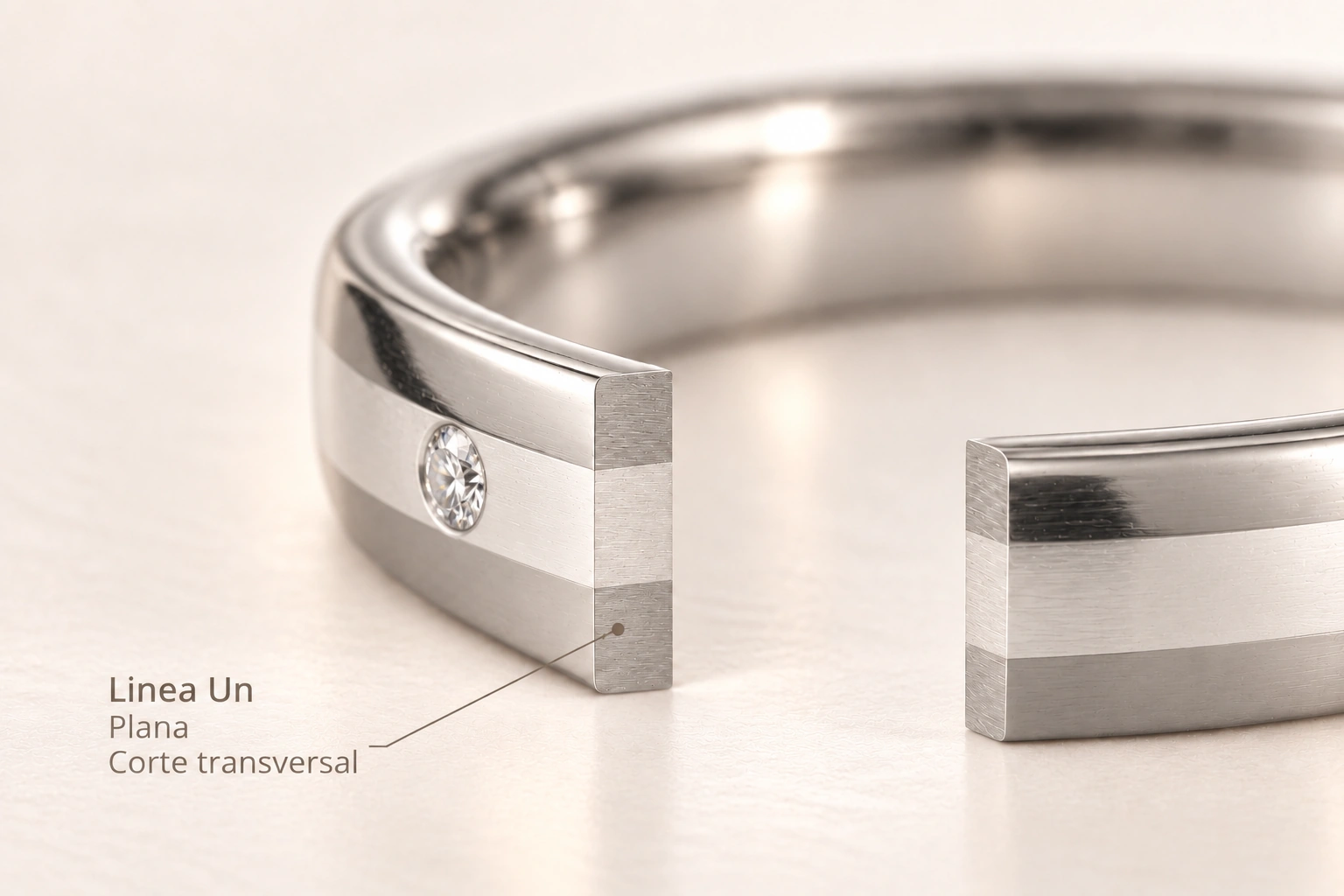 Linea Un — Plana. Corte transversal del modelo.