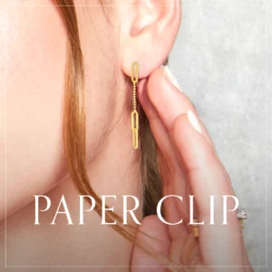 Paper clip Entrada