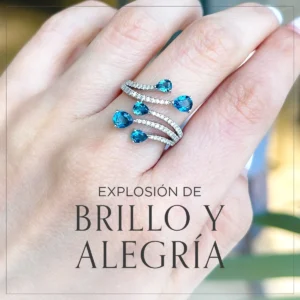 Explosion de brillo y alegria Entrada