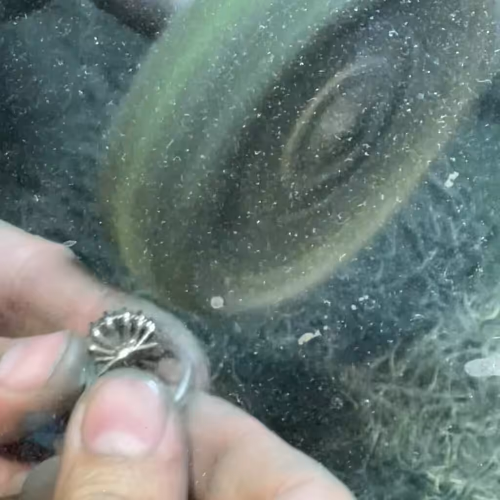 Pulido profesional de un anillo de oro en el taller.